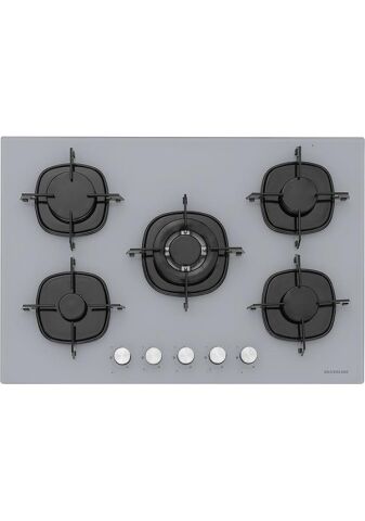 Silverline 3'lü Gri Cam Ankastre Set (3481 Flam 60 Gri+cs5365s01+bo65e1s01)