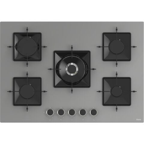 Ferre Ss Serisi Gri 5 Gözlü Ankastre Set ( QBL62CPR-SS038-D065 )