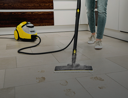 Buharlı Temizleyiciler